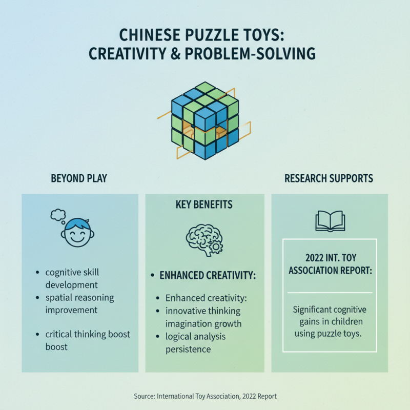 China Best Puzzle Toys for Creative Fun and Learning?