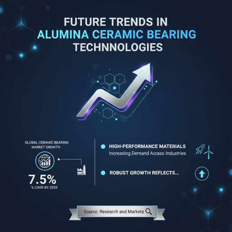 China Top Alumina Ceramic Radial Bearings for Enhanced Performance and Durability