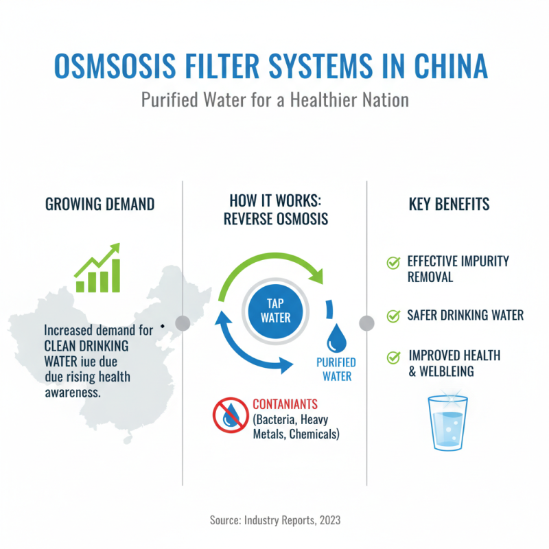 Top 10 Osmosis Filter Systems in China for Pure Water Solutions?