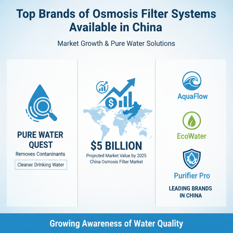 Top 10 Osmosis Filter Systems in China for Pure Water Solutions?