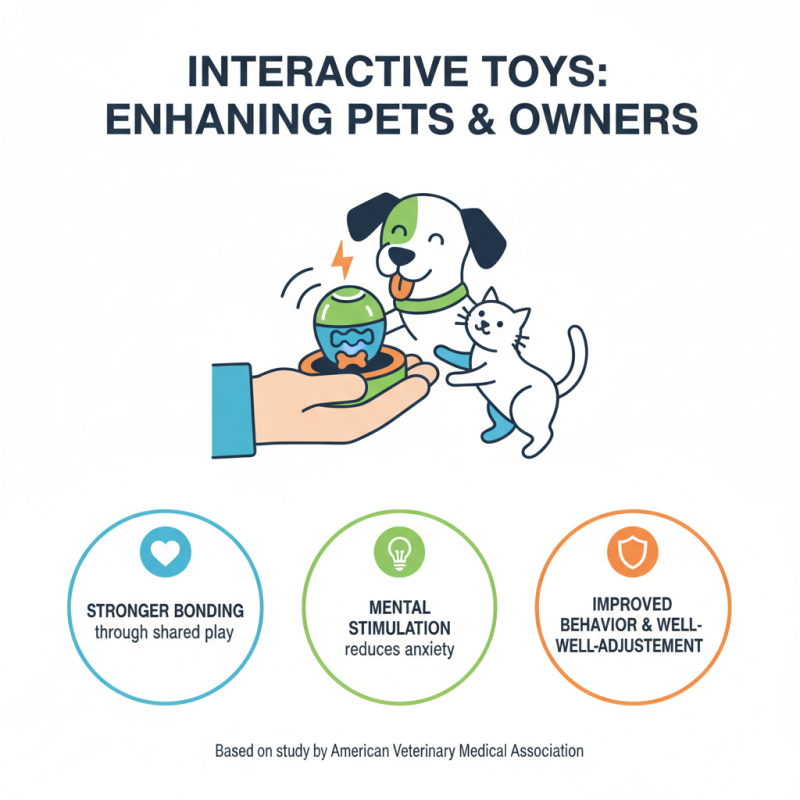 Best Pet Toys to Keep Your Pets Happy and Engaged?