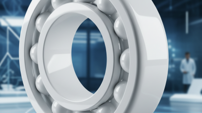 China Top Alumina Ceramic Radial Bearings for Enhanced Performance and Durability