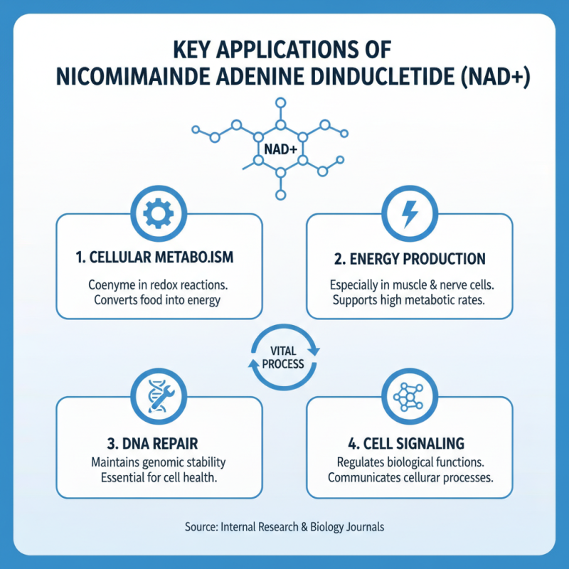 China Top 10 Suppliers of Nicotinamide Adenine Dinucleotide?