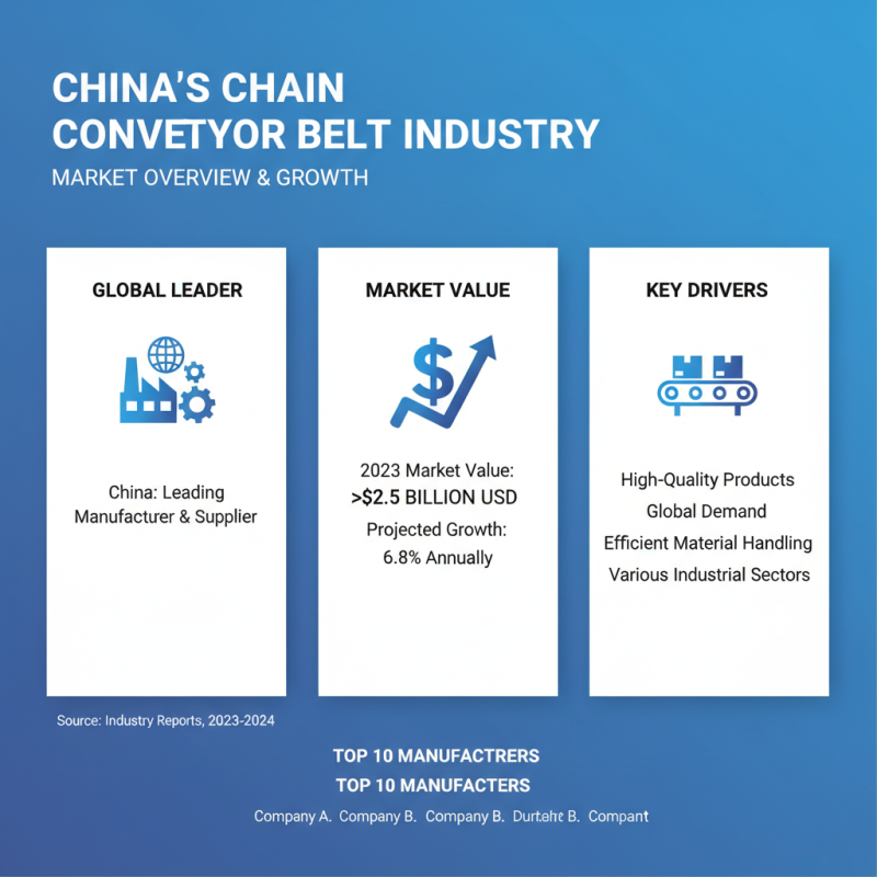 Top 10 Chain Conveyor Belt Manufacturers in China for Global Buyers?