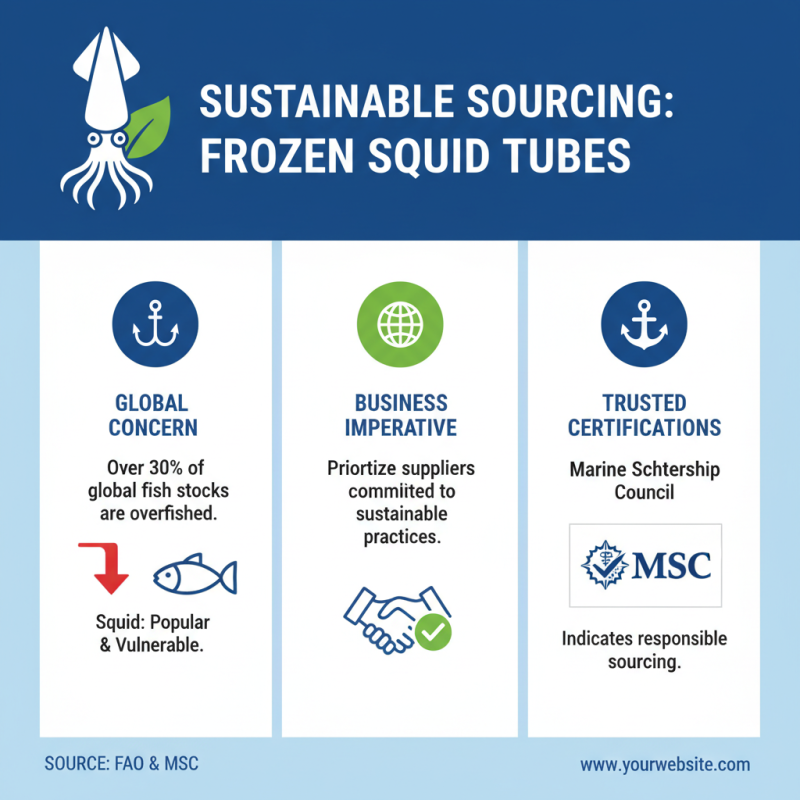 How to Choose the Best Frozen Squid Tube for Your Business?