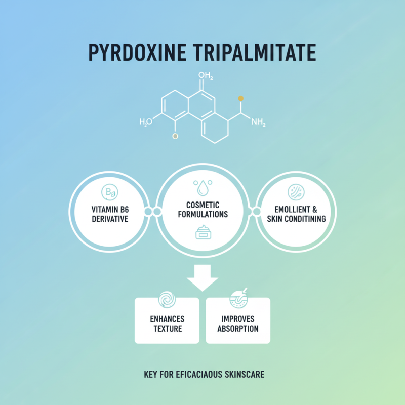 How to Source Pyridoxine Tripalmitate for Your Business?