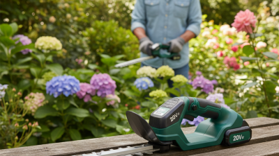 Best 20V Grass Shear and Hedge Trimmer for Global Buyers?