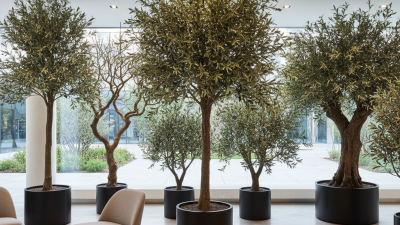 China Top 10 Artificial Olive Tree Large Options for Buyers?