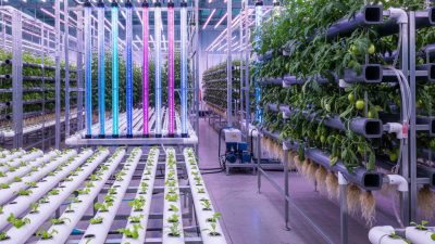 Top 10 Hydroponics Pipe Solutions for Global Buyers?