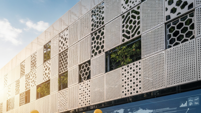 China Top Perforated Metal Screen Panels for Global Buyers?