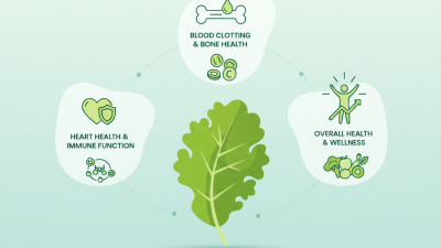 What Are the Benefits of Vitamin K1 for Health and Wellness?