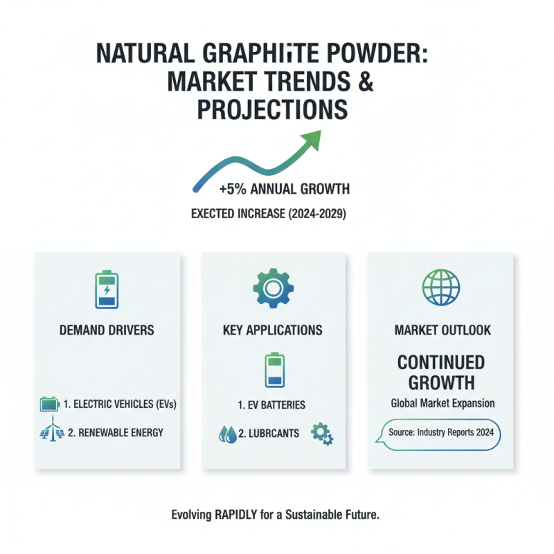 2026 Best Natural Graphite Powder for Global Buyers?
