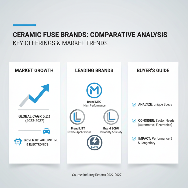 2026 Best Ceramic Fuse Purchasing Guide for Global Buyers?