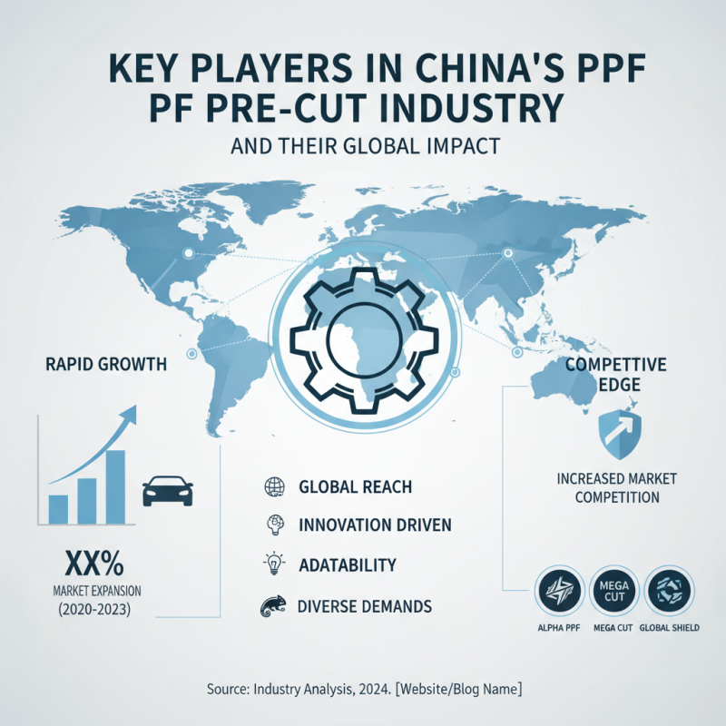 China Top 10 Ppf Pre Cut Data for Global Buyers?