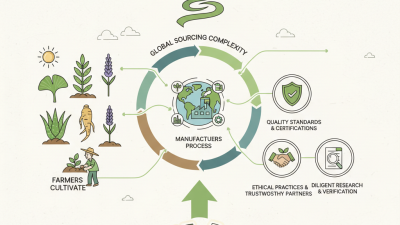 What is Herbal Extract and How to Source It Globally?