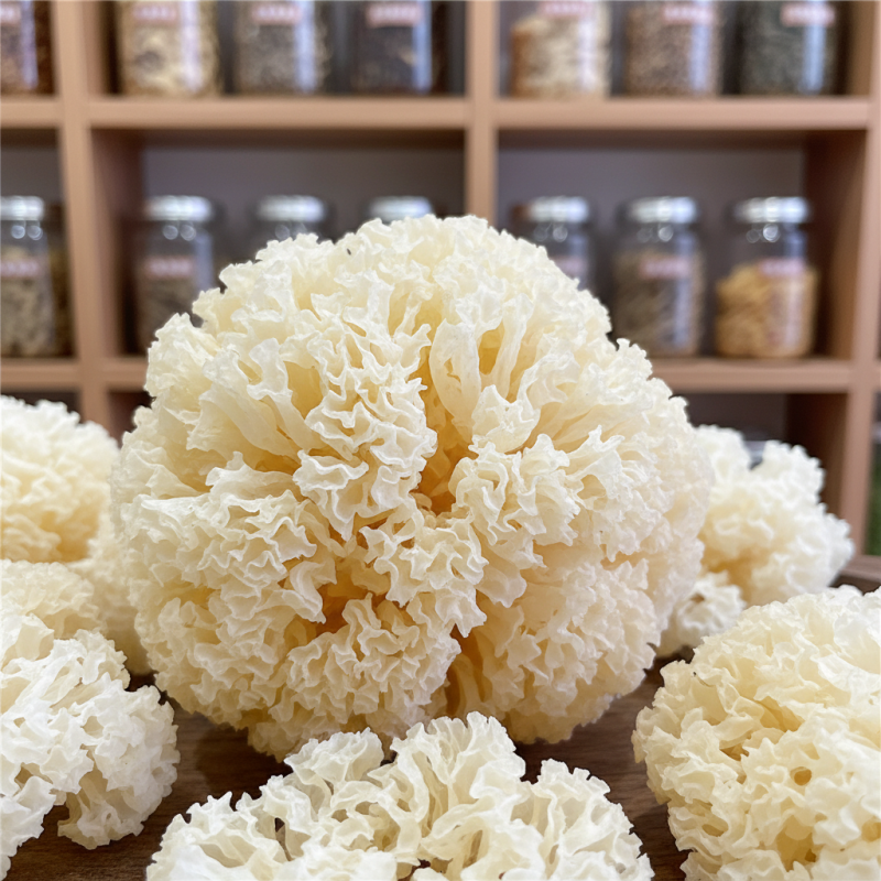 2026 How to Source Quality ODM Dried Snow Fungus?