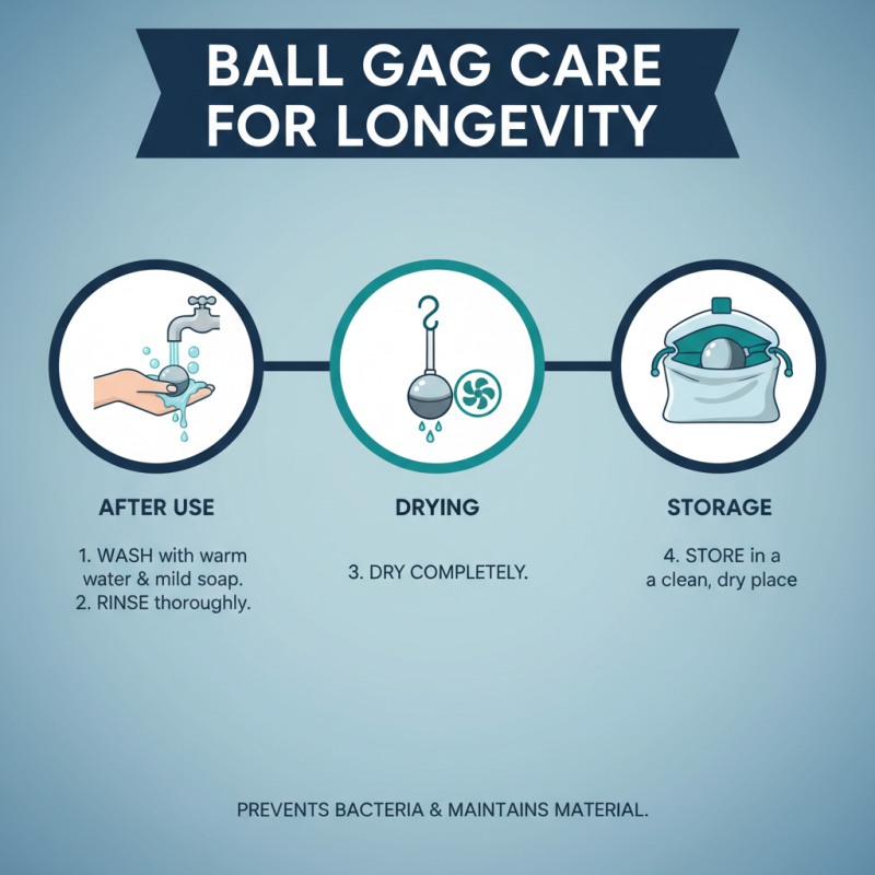 Top Ball Gag Buying Guide for Global Shoppers?
