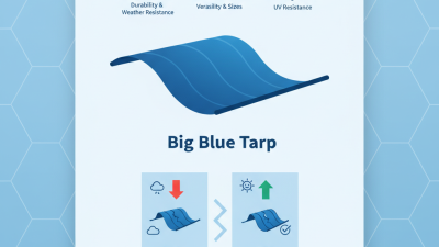 What is the Best Big Blue Tarp for Global Buyers?