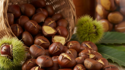 Best Chestnut Kernel Series for Global Buyers?