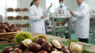 10 Tips for Sourcing Lilijia Fresh Chestnut for Food Industry?