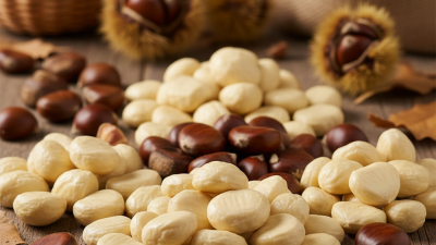 Best Chestnut Kernel Series for Global Buyers Today?