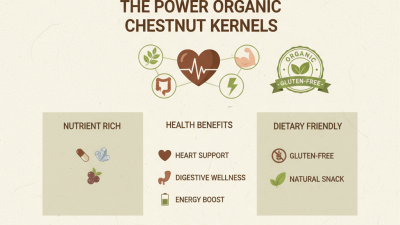 What is Organic Chestnut Kernel and Its Health Benefits?