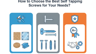 2026 How to Choose the Best Self Tapping Screws for Your Needs?