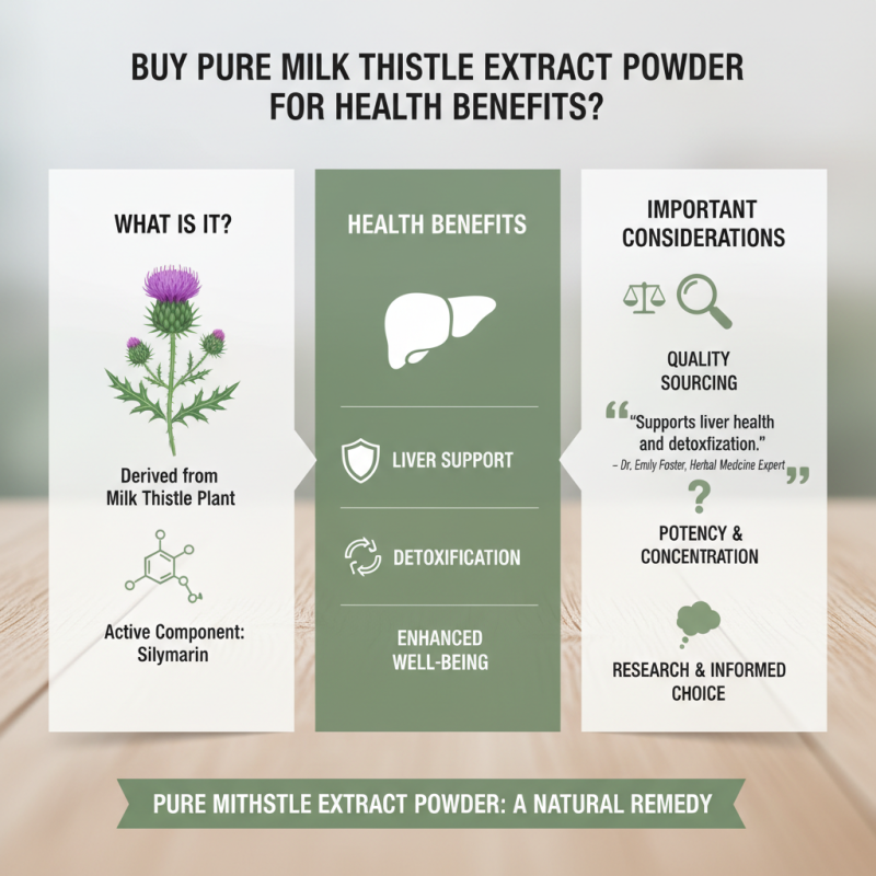 Buy Pure Milk Thistle Extract Powder for Health Benefits?