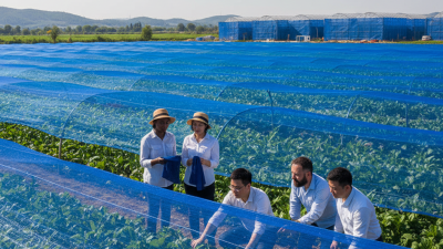 2026 Best Blue Shade Net for Global Buyers Insights?