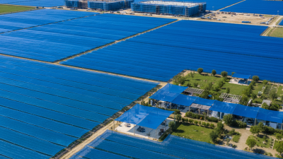 Top 10 Blue Shade Net Suppliers in China for Global Buyers?