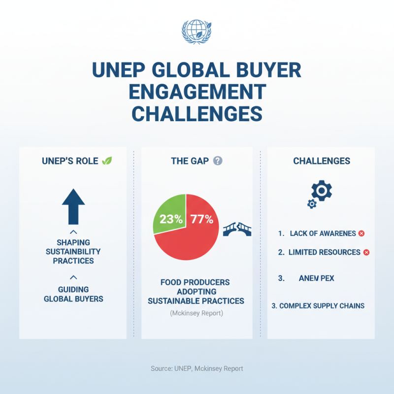 Why is the United Nations Environment Programme Important for Global Buyers?