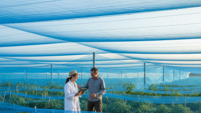 Top 5 Benefits of Using Blue Shade Net in Agriculture?