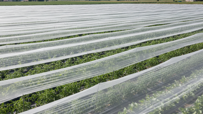 How to Choose the Best White Shade Net for Your Needs?