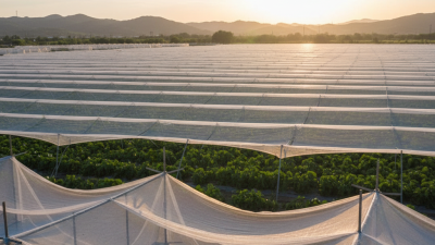 Top 10 Benefits of Using White Shade Net for Your Projects?