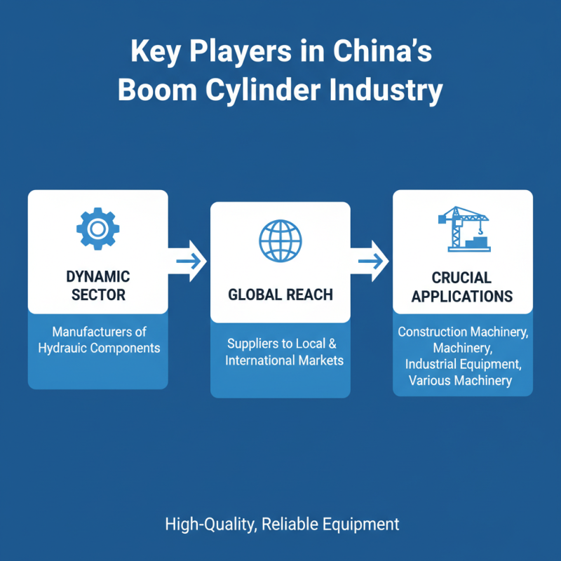 China Top Boom Cylinder Suppliers for Global Buyers?