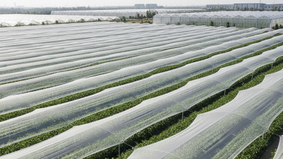 Best White Shade Net Options for Global Buyers?