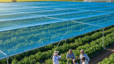2026 Best CoolBlue Shade Net Options for Global Buyers