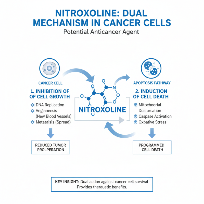 Exploring the Potential of Nitroxoline As An Anticancer Agent in China Best Practices?