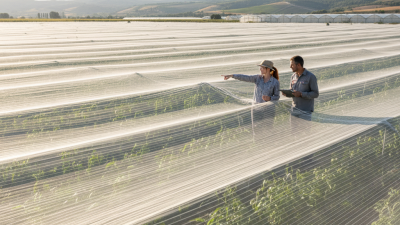Best White Shade Net Options for Global Buyers in 2026?