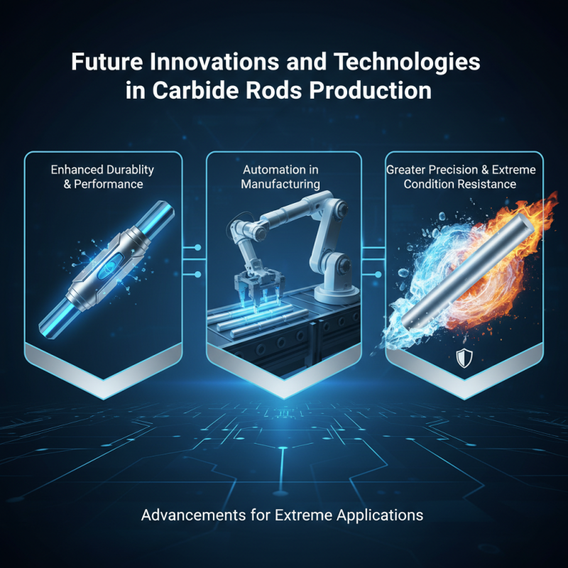 Best Carbide Rods for Global Buyers in 2026?