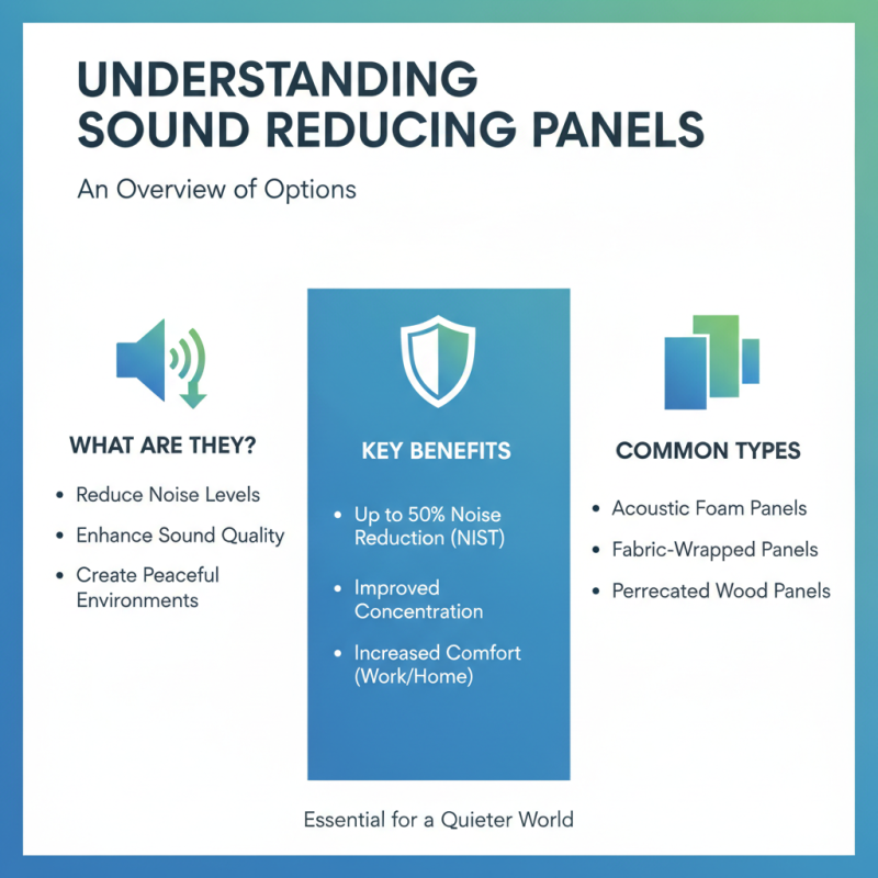 How to Choose the Best Sound Reducing Panels for Your Needs?