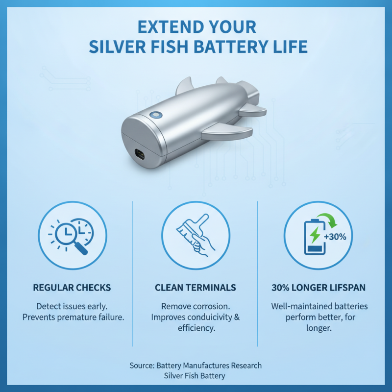 What is the Best Silver Fish Battery for Your Needs?