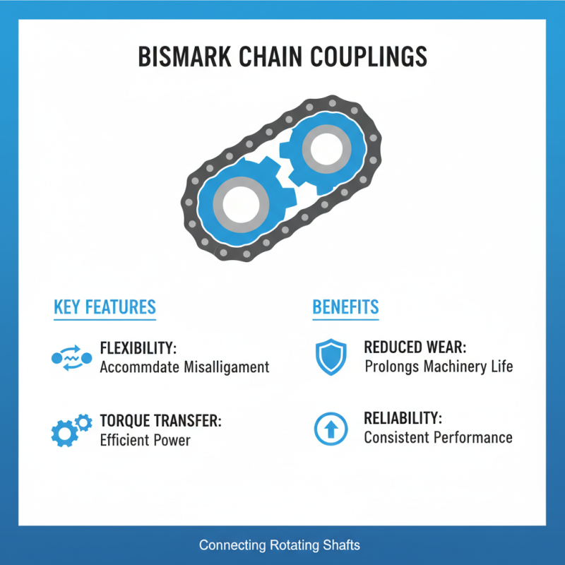 Top Bismark Chain Coupling Machine Specifications for Buyers?