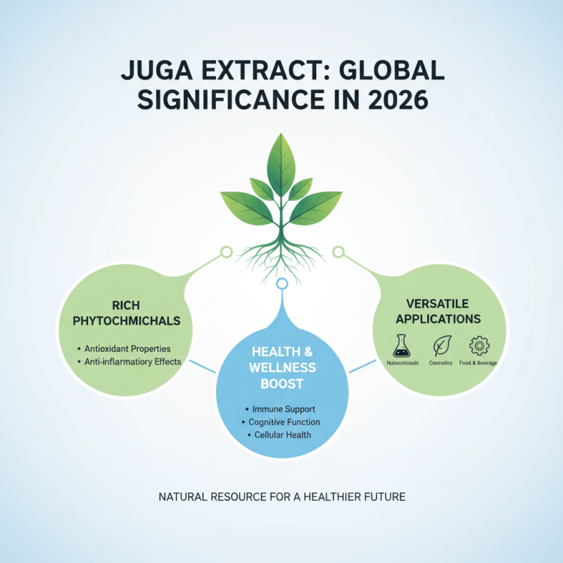 Juga Extract Benefits for Global Buyers in 2026?