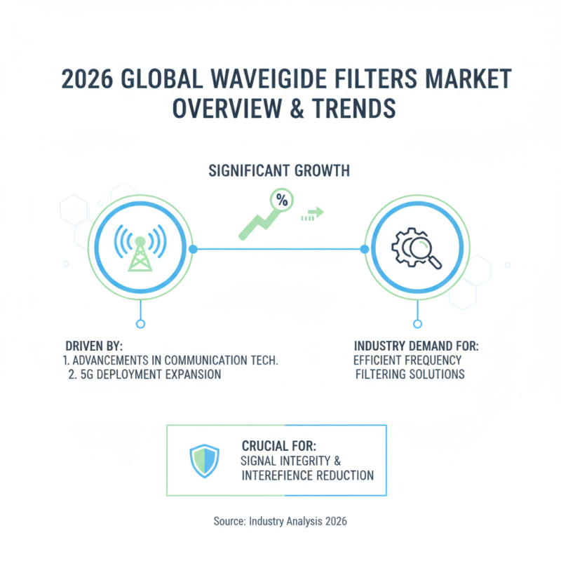 2026 Top Waveguide Filters Insights for Global Buyers?