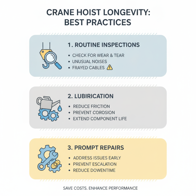 Crane Hoist Types and Tips for Global Buyers Guide?