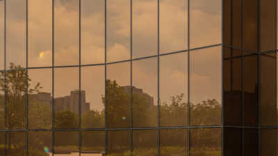 2026 Top Trends in Bronze Float Glass for Global Buyers?