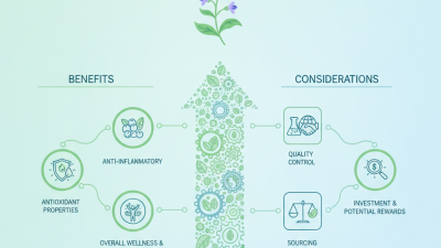 Why Choose Scutellaria Baicalensis Extract for Your Business?