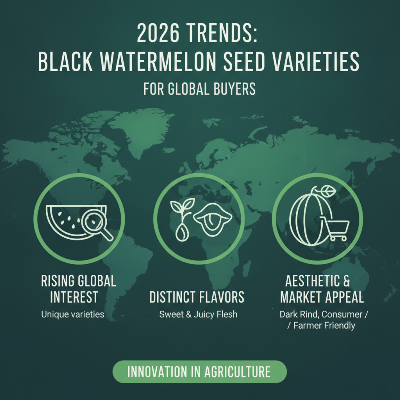 2026 Top Black Watermelon Seeds for Global Buyers Guide?