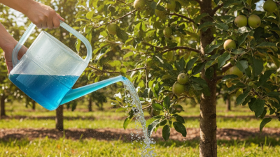 What is Water Soluble Fruit Tree Fertilizer Benefits and Uses?